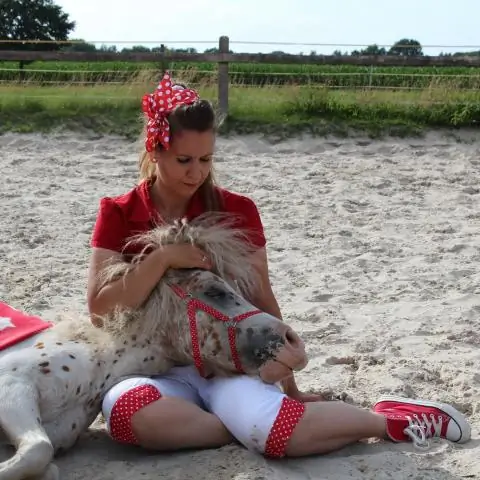 Уроки Паркфилда помогают прогнозировать дальнейшее движение разломов после землетрясений