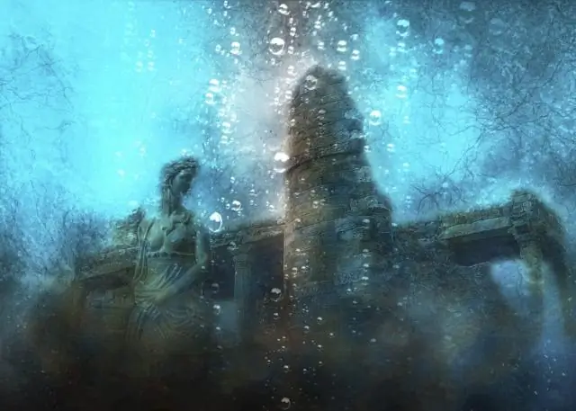 Отслеживание загадочного происхождения цепляющихся медуз: исследование обнаруживает удивительные генетические связи между сообществами