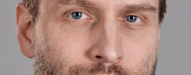 Почтовые голуби разделяют нашу человеческую способность накапливать знания из поколения в поколение