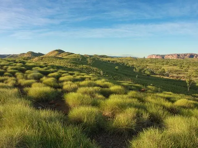 Стоимость хранения углерода на пастбищах теперь определена количественно
