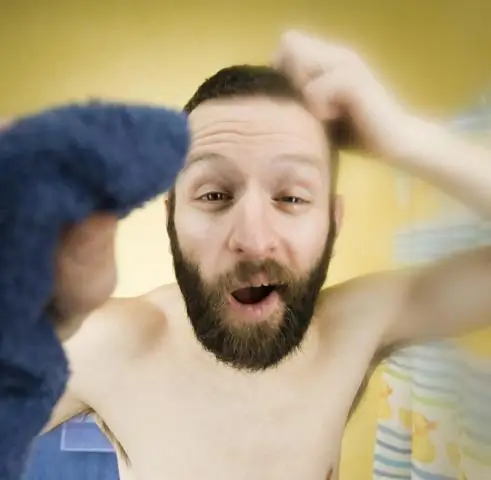 Подсказки, почему тараканы так плодовиты