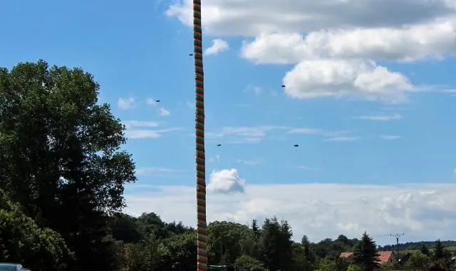 Сказочные зубы рассказывают о легендарных львах-людоедах Цаво