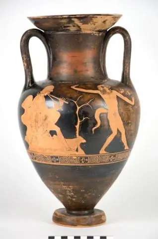 Камеры с интервальной съемкой дают уникальную возможность заглянуть в зимнее поведение пингвинов