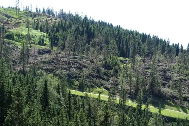 Недоизученный ключевой бореальный ареал обитания североамериканских уток