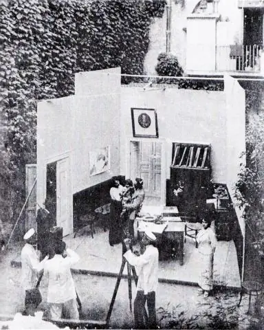 Требуется действие: инвазивный грибок убивает европейских саламандр