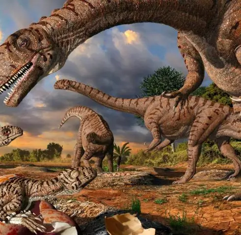 Формирование месторождений золота в Южной Африке: исследовательская группа обнаружила новый процесс рудообразования в древнем морском осадочном бассейне