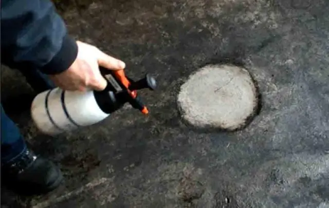 Бактерии, используемые для борьбы с противомикробным загрязнением почвы и воды: исследователь получает награды за загрязнение окружающей среды