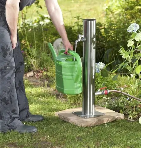 То же, но другое: исследователи раскрывают механизм того, как бактерии с одним и тем же генотипом могут проявлять различный фенотип