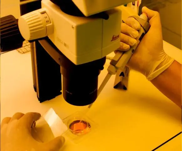 «Генетический скальпель» может манипулировать микробиомом, показывают исследования