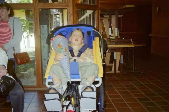 Новорожденные получают защиту от инфекций, а не только пищеварение, благодаря кишечным бактериям, показывает новое исследование на мышах