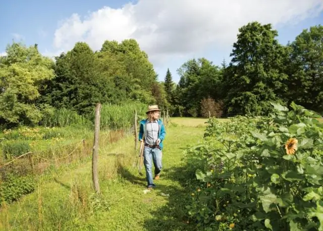Голодание вызывает изменение температуры тела и уровня сахара в крови, чтобы выдержать следующее ограничение в еде