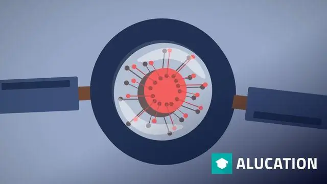 Что мы можем узнать из белков динозавров? Возможность извлекать белки из древних костей поднимает новые поразительные вопросы