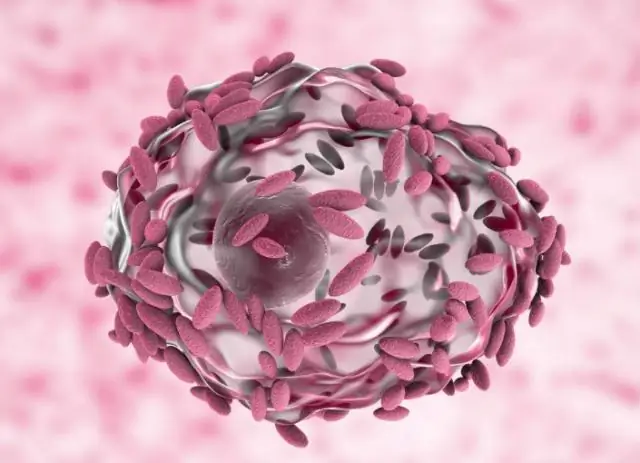 Борьба с инфекциями серебряным мечом