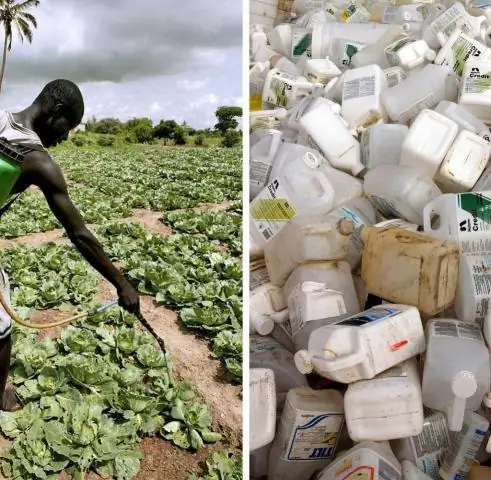 Biochar повышает урожайность тропических, но не умеренных культур, говорится в новом отчете