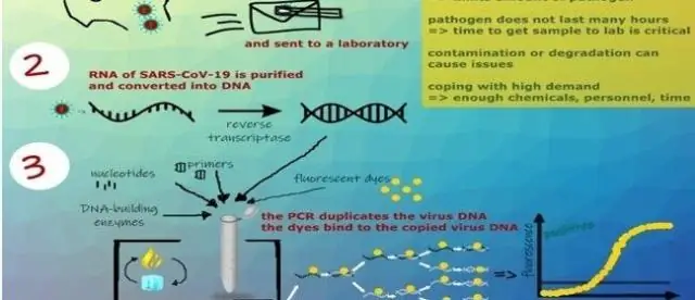 Умная клетка: молекулярный механизм подавляет бурную подвижность бактериальных популяций