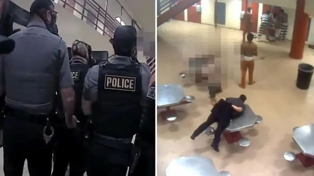 Урбанизация стоит пять миллиардов лет эволюционной истории