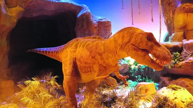 Обезглавленный динозавр воссоединился со своим черепом, столетие спустя: палеонтологи соединили доисторический череп со скелетом из Провинциального парка динозавров