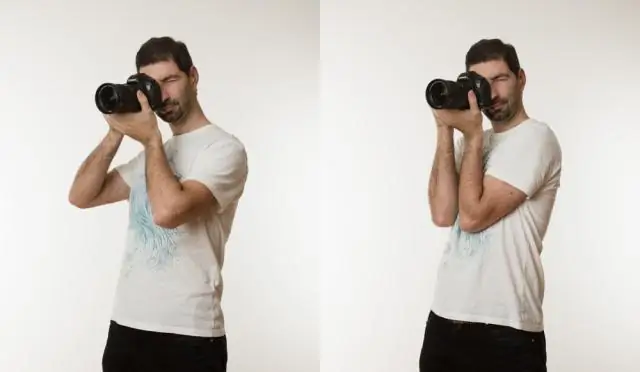 Семенники петуха, чтобы узнать, как организм борется с вирусами