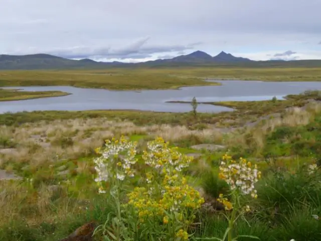 Исследователи отслеживают влияние бразильского «моратория на сою» на развитие сельского хозяйства