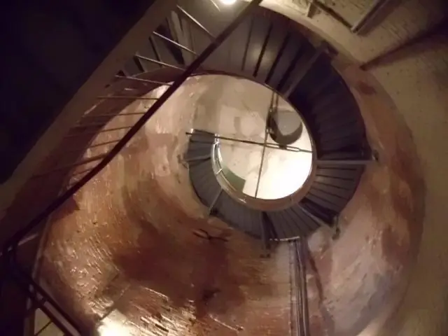 Исследования размножения редких деревьев расширяют потенциал восстановления видов: бесполые испытания нашли новый метод управления сохранением деревьев на Марианских островах