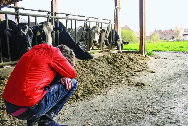 Минеральные ресурсы: истощение – всего лишь миф, считают ученые