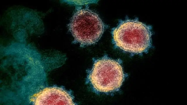 Новая надежда в борьбе с супербактериями: открытие может привести к разработке антибиотиков нового поколения