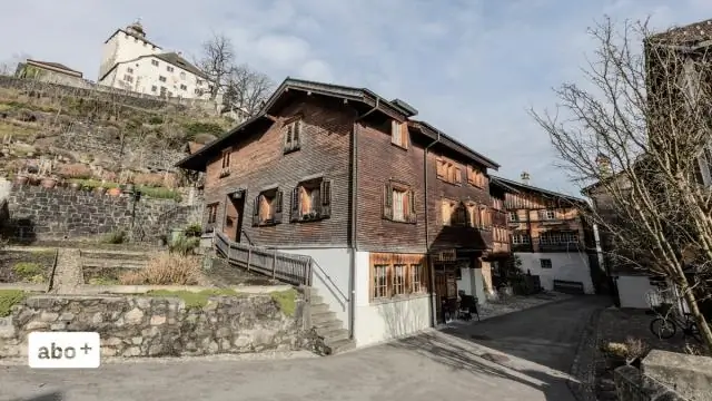 Новый свет проливает свет на «древнейшие в мире окаменелости животных»