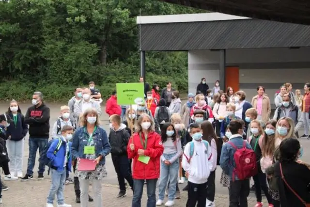 Первое полевое испытание генно-инженерных водорослей, одобренное Агентством по охране окружающей среды США: эксперимент подталкивает к обещанию, что водоросли станут чистым, возобновляемым источником 