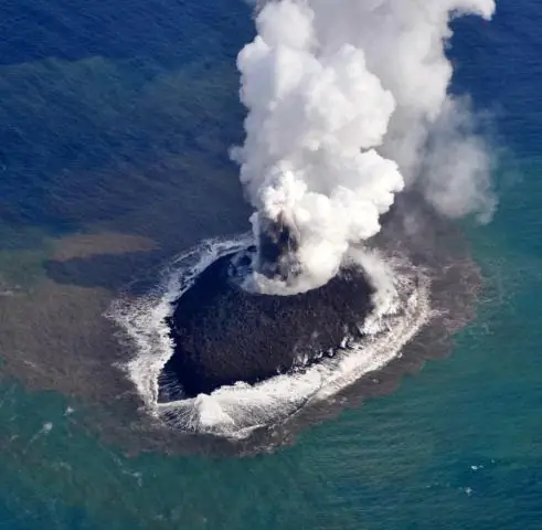 Ученые создали пекарские дрожжи для производства молекул пенициллина: ученые вставили гены грибка в дрожжевую клетку, чтобы заставить ее производить молекулы пенициллина