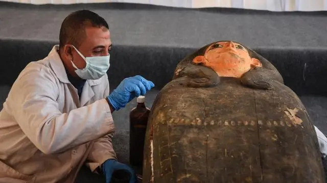 Первая находка в Египте: 4000-летний погребальный сад у входа в гробницу
