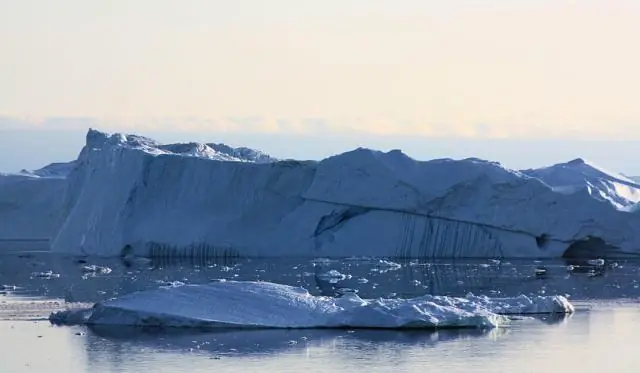 Как медведи набирают вес перед летом: исследование весеннего рациона азиатского черного медведя