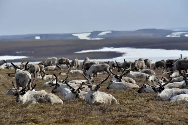 Текущие измерения изменения климата маскируют компромиссы, необходимые для политических дебатов