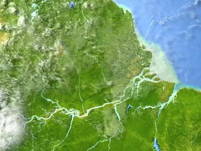 Разбираем влияние более высокой мутационной нагрузки на физическую форму