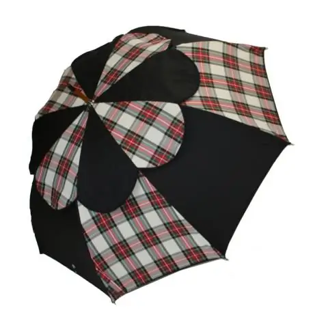 Шотландские барсуки подчеркивают сложность реакции видов на изменение окружающей среды