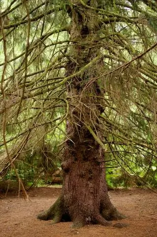 Древние белки подробно изучены