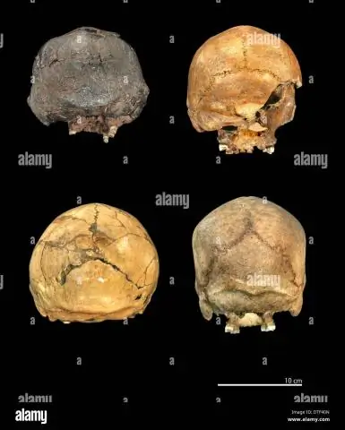 Примитивные гоминиды жили рядом с современными людьми