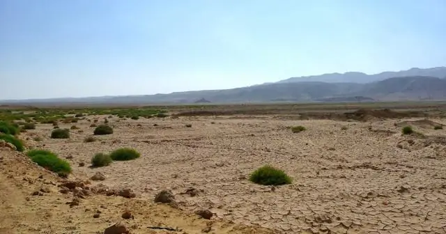 Южноафриканская пещера дает еще больше окаменелостей новообретенного родственника