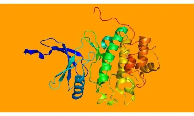 Исследователи раскрывают новую стратегию повышения эффективности использования соломы зерновых для производства биотоплива