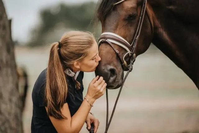 Исследование опровергает результаты, стоящие за проблемой восстановления лесов Сьерра-Невады