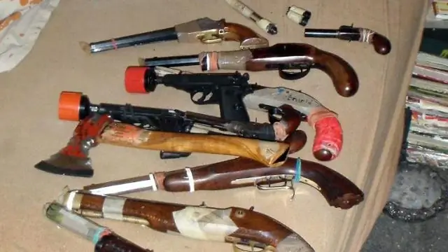 Новейшее оружие против изменения климата: бобр, устрица, холодная вода и многое другое