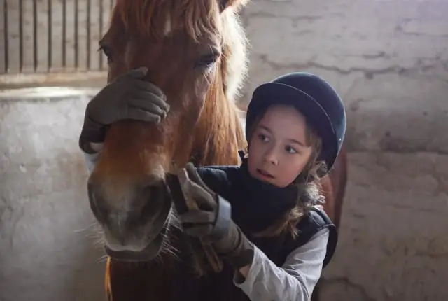 «Прикосновение кончиками пальцев» указывает на предков человека, использующих окружающую среду на верхушках деревьев