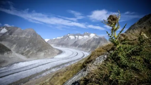 Ледники быстро сокращаются и исчезают: 50 лет изменений ледников в Монтане