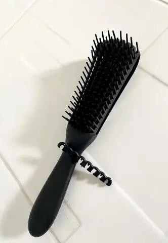 Распутывание генетики хлоропластов: ученые выделяют критический ген для здоровья растений