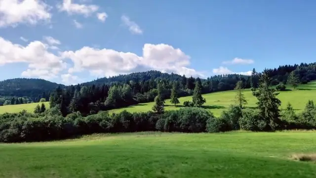 Перемещение древних людей на Индийский субконтинент