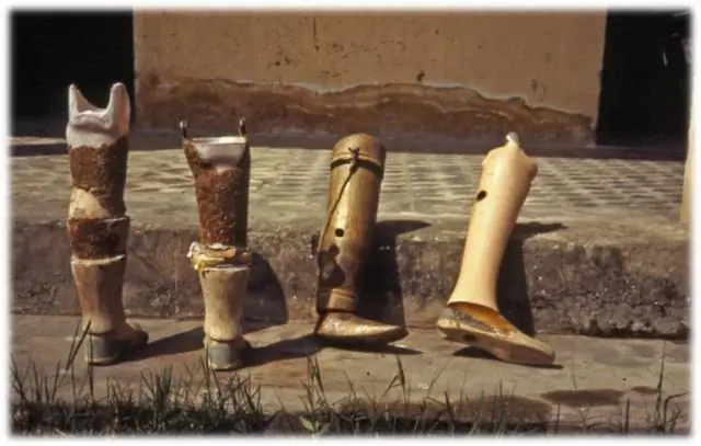 Нерождённые скаты получают травму, когда их матери попадают в плен: первое в мире исследование показало, что