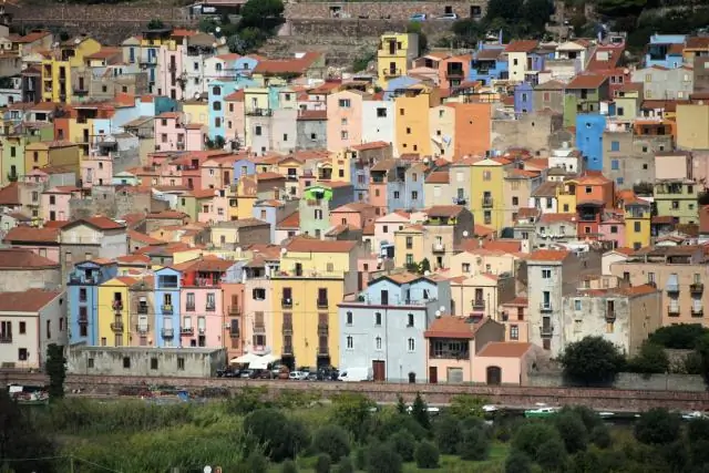 «Красивые» термиты наносят наибольший вред, как показывают исследования