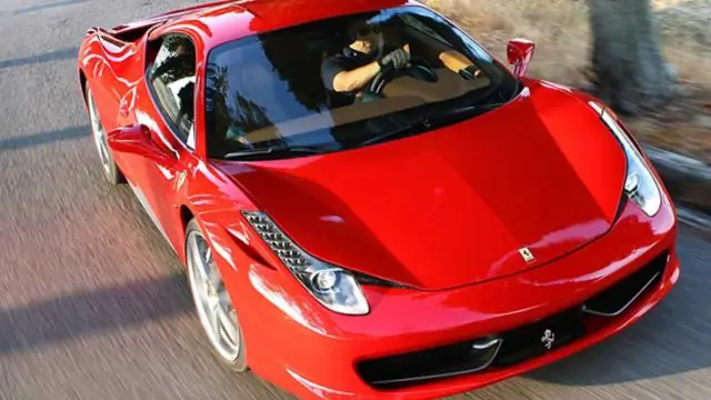 Новое исследование переворачивает с ног на голову устоявшиеся модели прогнозирования совместного вымирания в сложных экосистемах