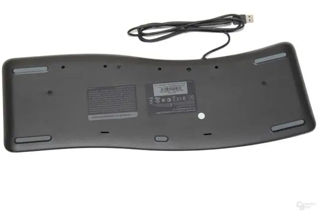 Разворачивание механизма складывания крыльев божьей коровки: складки, похожие на оригами, ленточные пружинящие вены дают подсказки для инженерных приложений