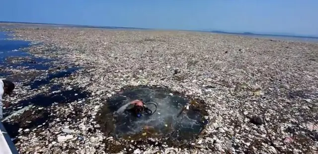 Океанский пластик: 37 миллионов кусочков мусора на одном из самых отдаленных островов в мире