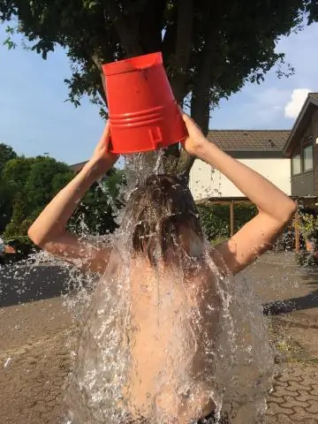 Во время аномальной жары городские деревья могут повышать содержание озона в приземном слое